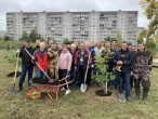 Сотрудники Инспекции Гостехнадзора Тверской области посадили дубовую аллею