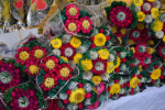 В Твери в преддверии 8 марта организована продажа цветов