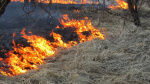 В Твери штрафуют за сжигание травы и мусора на территории города 