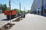 В Твери на проспекте Победы готовят лунки для высадки деревьев