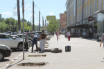 В Твери на проспекте Победы готовят новые лунки для посадки лип